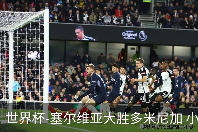 世界杯-塞尔维亚大胜多米尼加 小组第二进八强