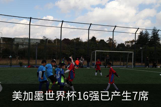 美加墨世界杯16强已产生7席